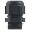 PPB-13 Image