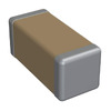 1808J1000563KXT Image